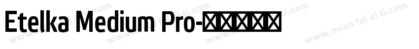 Etelka Medium Pro字体转换